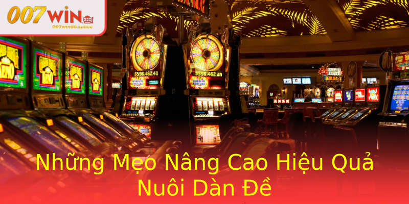 Những Mẹo Nâng Cao Hiệu Quả Nuôi Dàn Đề